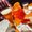 Photo of Rae P.