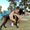 Photo of Ariana R.