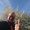 Photo of Bertrand M.