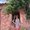 Photo of Rohini G.