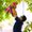 Photo of Saravana K.