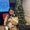 Photo of Joce H.