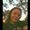 Photo of Kelsey K.