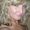 Photo of Jodie B.