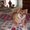 Photo of Sandi T.