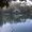 Photo of Talin D.