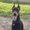 Photo of Cherie S.