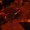 Photo of E G.