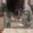 Photo of Shakyah T.