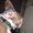 Photo of Beagie B.