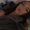 Photo of Bianca T.