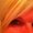 Photo of Sandi S.