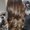 Photo of Cristy A.
