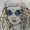 Photo of Emily P.