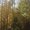 Photo of L M.