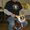 Photo of Nick V.