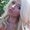 Photo of Samantha R.