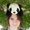 Photo of Jessica D.