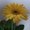 Photo of Qype User (andrea…)