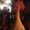 Photo of Maria Alessandra M.