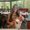 Photo of Claudia M.