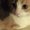 Photo of Christine L.