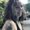 Photo of Samantha D.