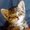 Photo of Nichole M.
