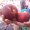 Photo of Derema P.