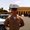 Photo of Cliff G.
