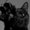 Photo of Kat H.