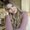 Photo of Heather H.