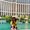 Photo of Pooja B.