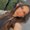 Photo of Vanessa S.