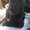 Photo of Qype User (alansc…)