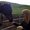 Photo of Amy Z.