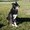 Photo of Adri M.