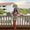 Photo of Caitlyn R.
