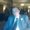 Photo of Alan R.