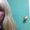 Photo of Melinda B.
