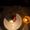 Photo of Nataly P.