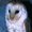 Photo of Raelene S.