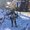 Photo of Sharona S.