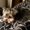 Photo of Monica P.