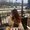 Photo of Ariana C.