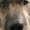 Photo of Brad J.