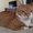 Photo of Buddy S.