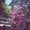 Photo of Luke W.