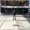 Photo of Siavash B.