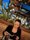 Photo of Sarah M.